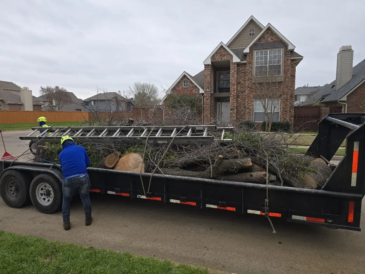 Expert Tree Removal with proper safety equipment in Charleston